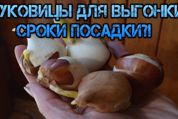 Кракен как проверить зеркало