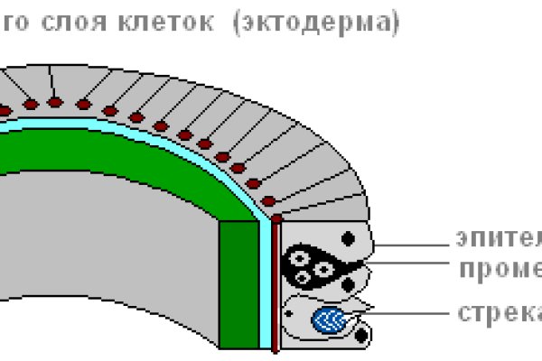 Что такое кракен сайт