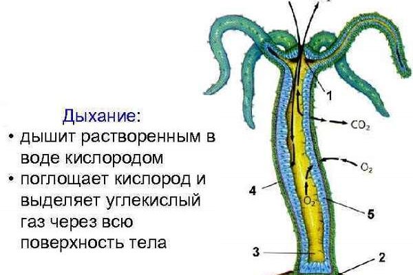 Список даркнет сайтов