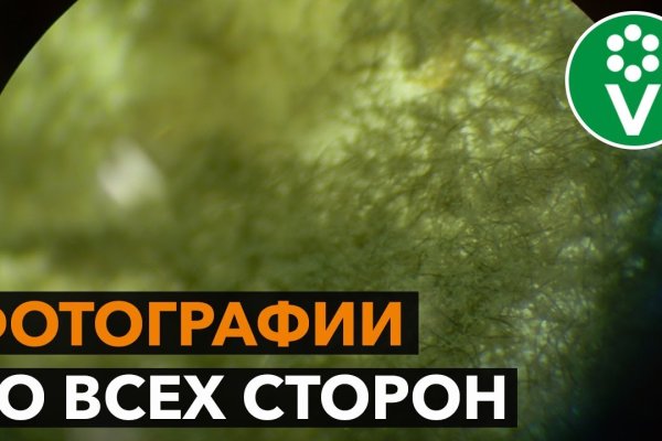 Скачать кракен тор
