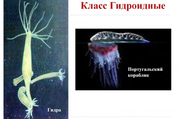 Кракен не работает тор