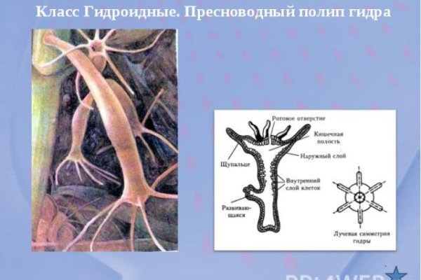 Ссылка кракен зеркало тор