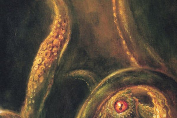 Kraken сайт kraken torion