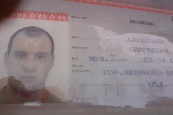 Только через тор кракен