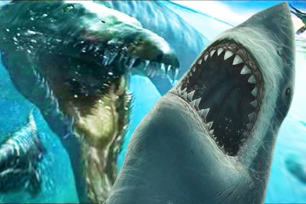 Kraken com зеркало