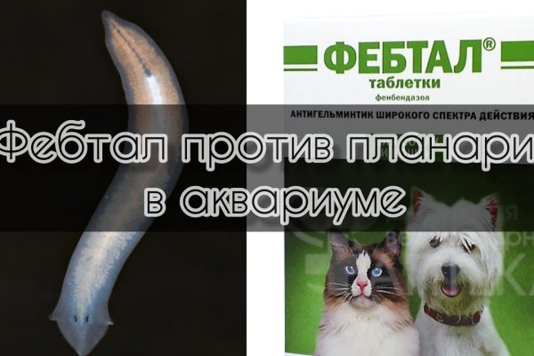 Kraken 2krn