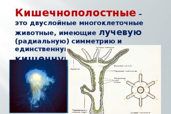 Кракен обход