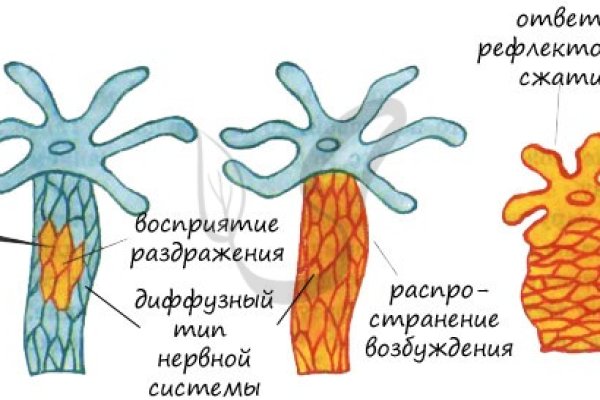 Кракен ссылка pw